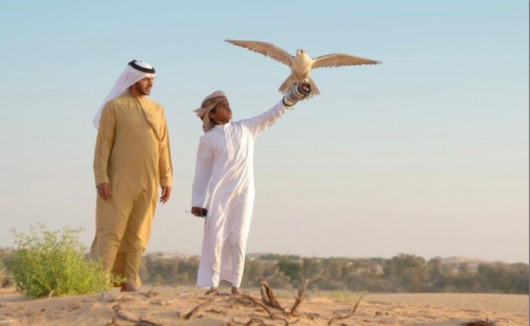 Une École Unique pour la Fauconnerie à Abou Dhabi Abou Dhabi accueille une école privée dédiée à la fauconneri
